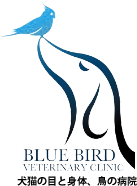 ブルーバード動物病院：眼科診療と鳥類診療